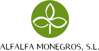 Alfalfa Monegros